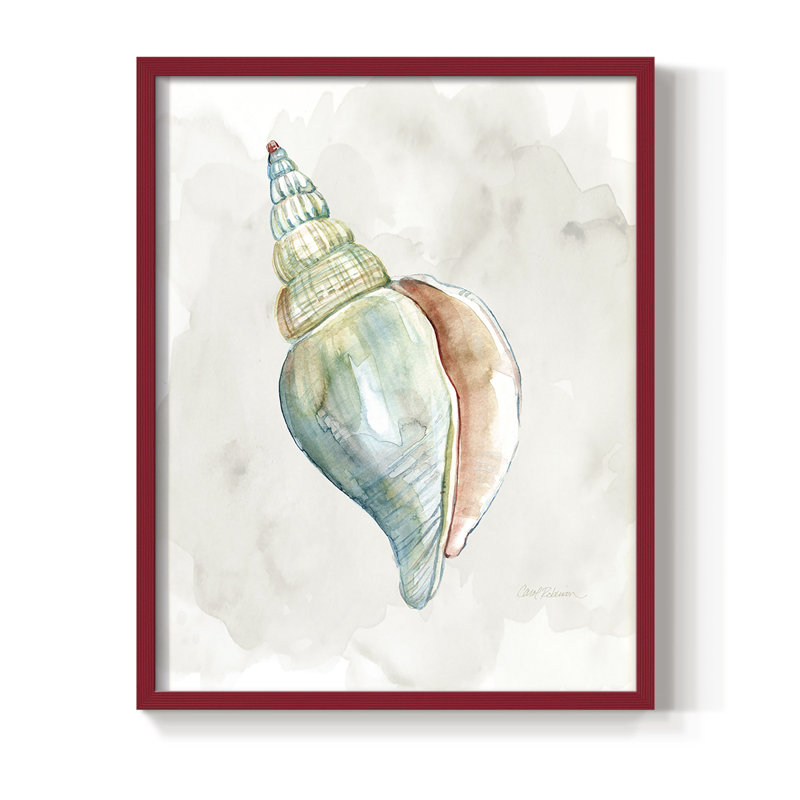 Pastel Shell II Framed Print - Solid Wood, Red, 10" H x 8" W