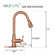 Akicon Pull Down Kitchen Faucet
