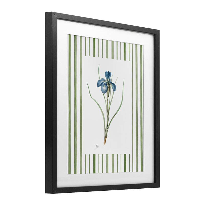 «Spring Iris And Stripes», reproduction sous verre encadrée, design par Nan, H 21 po x l 17 po, Cadre noir minuit