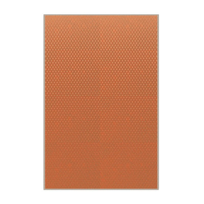 Wool Indoor Rug