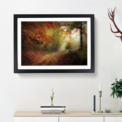 Autumn Forest - Framed Print