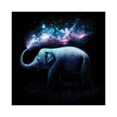 " Elephant Splash " by Nicebleed