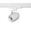 Paloma Track Head-12425043-12425044-65879154