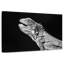 Iguane monochrome-1385870435