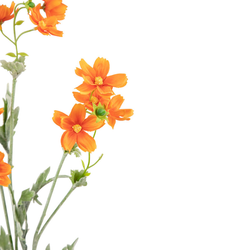 Vaporisateur pour bébé, Orange