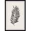 «Black Fern Leaf», reproduction encadrée-67995777