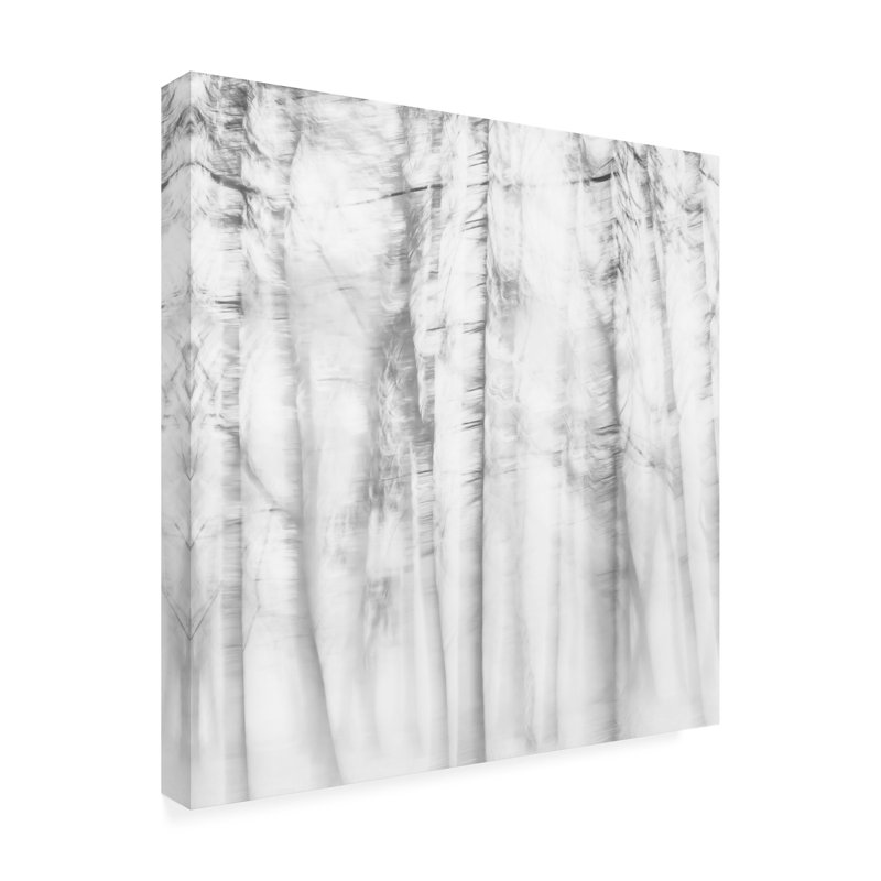 Art sur toile «Bolic Imaginative Poetic Forest», H 14 po x l 14 po