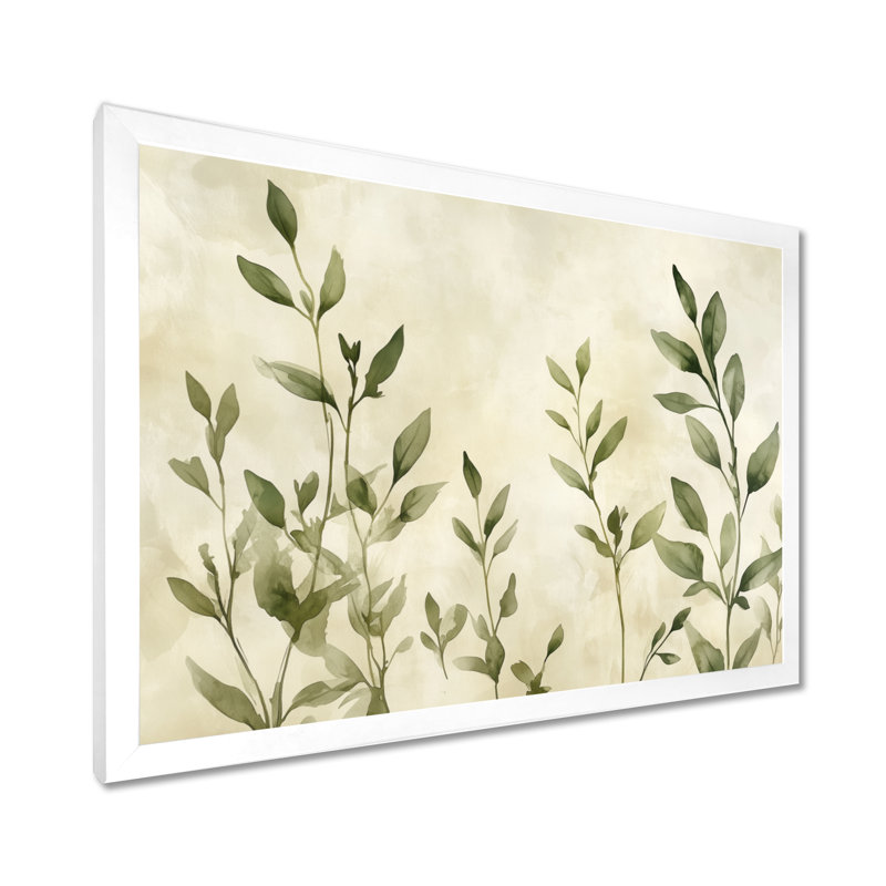 Tableau encadré Softgreen Beige Thym Botanique - Herbes aromatiques, H 24 po x l 32 po, White Picture Framed