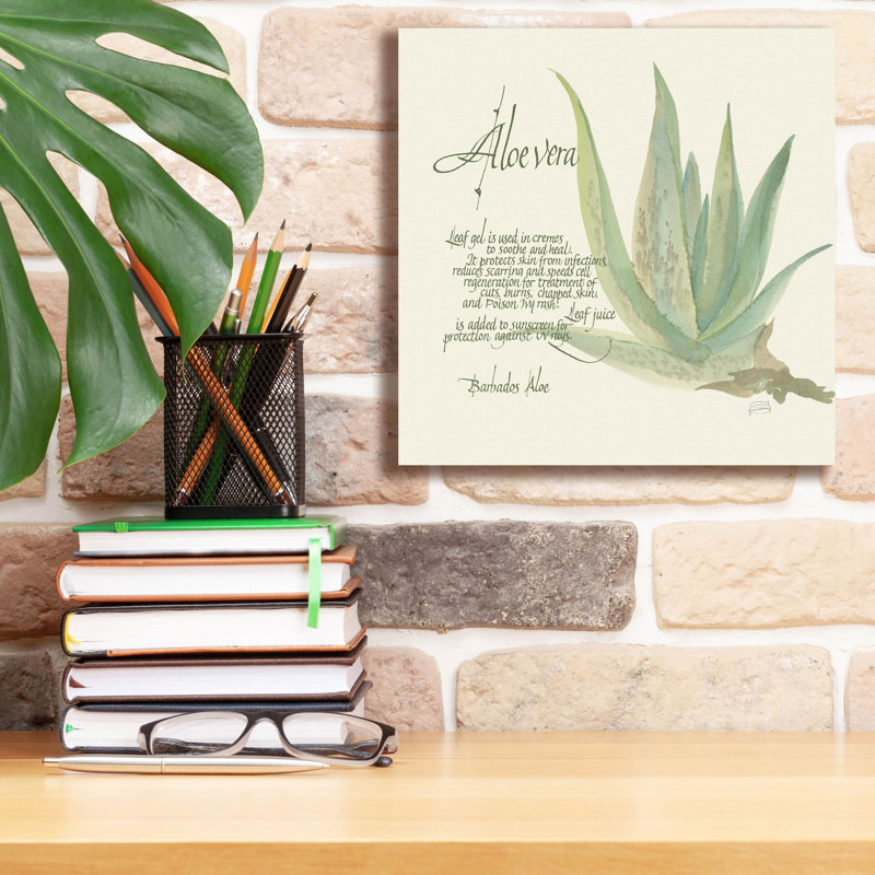 «Aloe Vera» par Chris Paschke, art mural sur toile, H 12 po x l 12 po x P 0,75 po