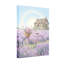 Plantes et fleurs, bicyclette pastel, lavande, champ, papillons arc-en-ciel-1671110333