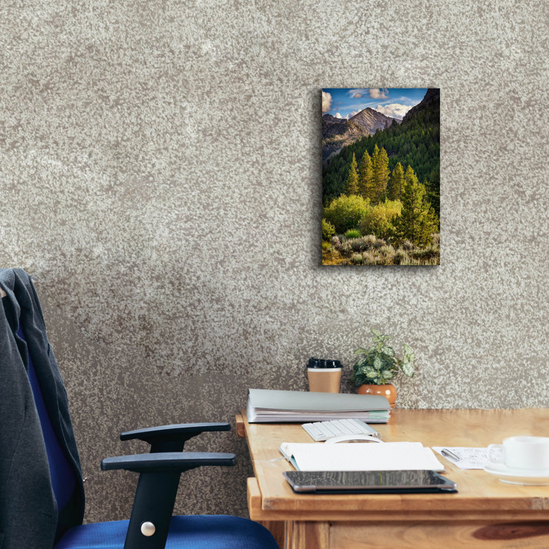 «Epic Graffiti» «In The Pioneer Mountains» par Rick Berk, art mural sur toile, 12 po x 18 po