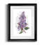 Awash in Lilac I par J Paul - reproduction d'art encadrée-1737439317-1737439316