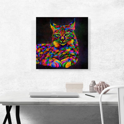 " Bobcat Cat Animal "