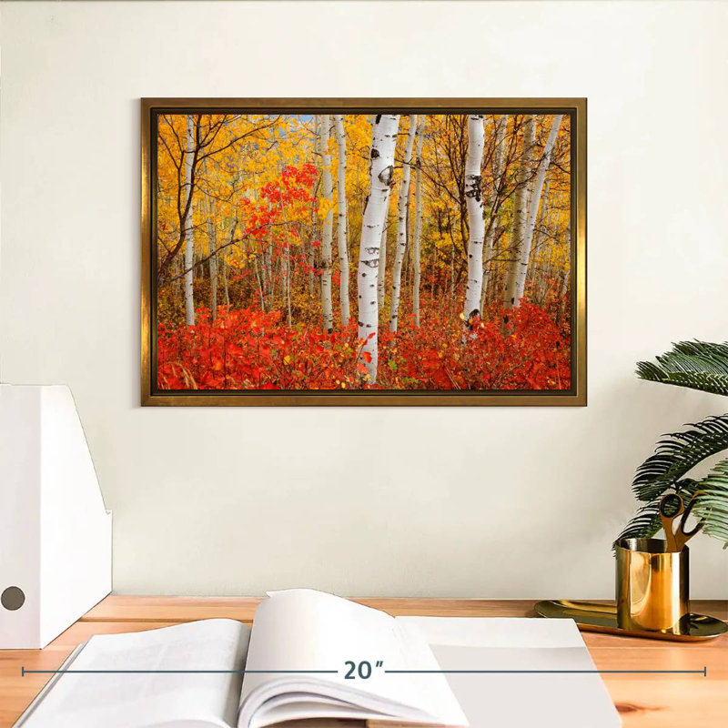 Bouleaux d'automne, Cadre flottant doré, 13 po x 9 po