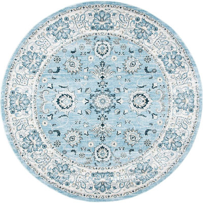 Delmer Performance Oriental Rug