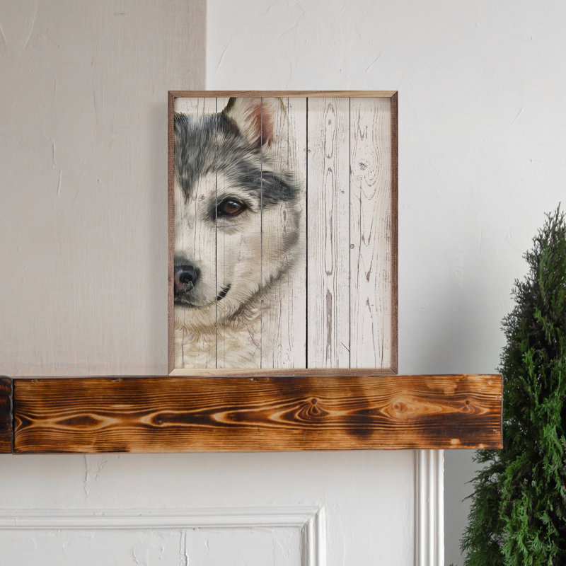 Sled Dog Portrait, H 10 po x l 8 po