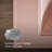 Memoirs Stately 30-3/4 In. Rectangular Pedestal Bathroom Sink-90698479