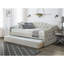 Birdwell Tufted Daybed with Trundle-649347880