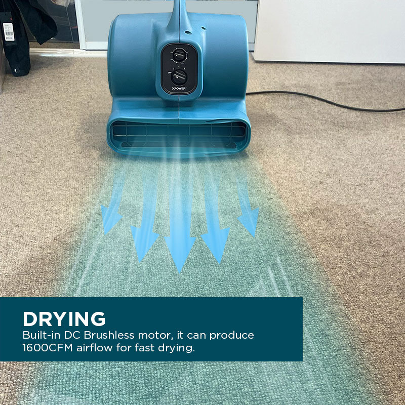 Brayden Studio 35.3cm Oscillating Blower Fan Fan