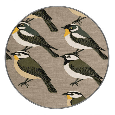 Washable Cape White eye Birds Area Rug
