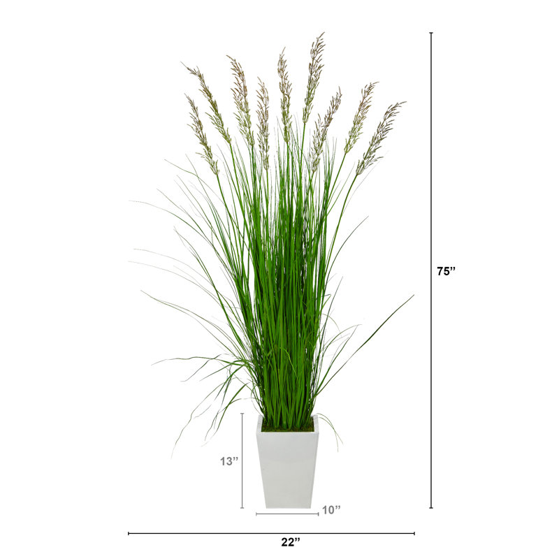 Herbe de blé artificielle en pot, Vert, H 75 po x l 22 po x P 22 po