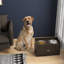Rangement pour chien avec bols surélevés - armoire à café pour les grands chiens