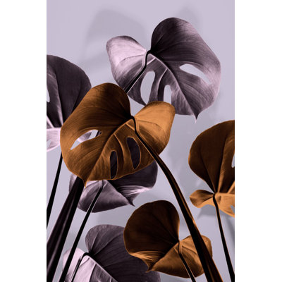 Monstera 01
