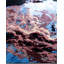 Overdyed One-of-a-Kind 9' 2" X 12' 3" Hand Knotted Area Rug