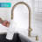 Oletto Single Handle Pull-Down Kitchen Faucet-53024491