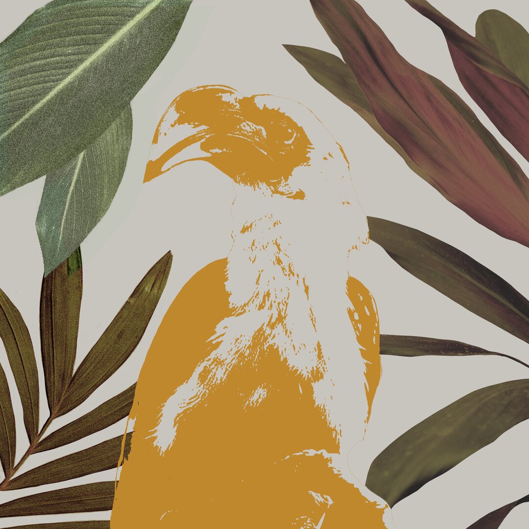 Leinwandbild Tropical Bird II von Annie Warren