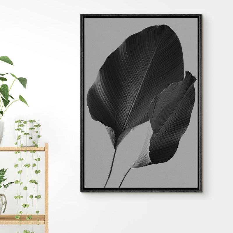 Gros plan sur une feuille d'oreille d'éléphant - photographie à cadre flottant sur toile, H 24 po x l 16 po x P 1,5 po