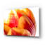 «Just A Peek» par Pamela Plummer-1109860074