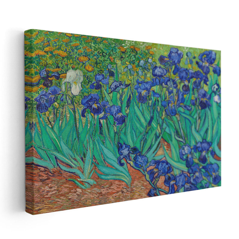 Irises, 1889 - Canvas Print Wall Art, 20" H x 30" W