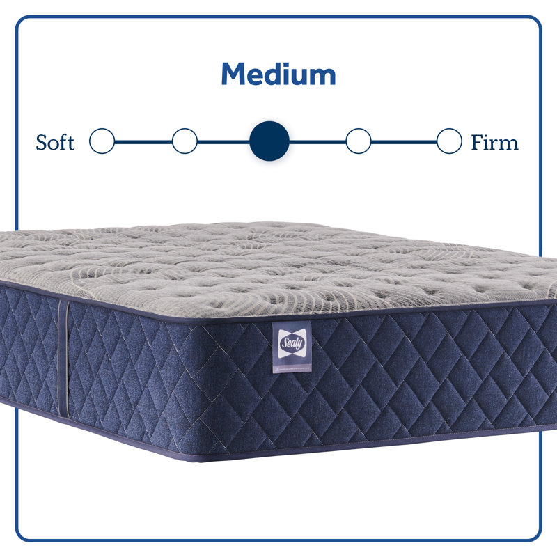 Sealy Dudley Chase 14.5" Medium Tight Top Innerspring Mattress, Full