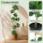 Plant-1399639119