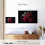 Hitzel roses rouges séchées-108948780
