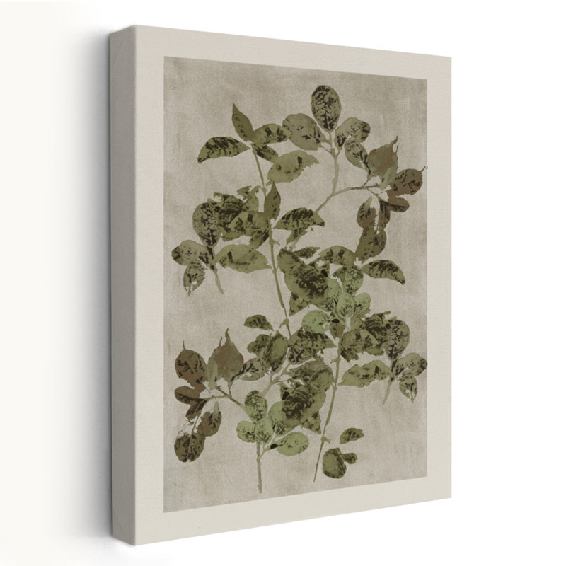 Nature's S croquis I - Art floral et botanique à l'aquarelle abstraite, H 48 po x l 32 po
