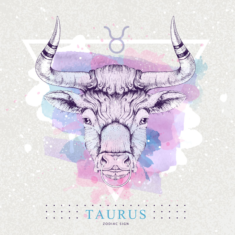 Taurus Zodiac - Wrapped Canvas Print, 30cm H x 30cm W x 3.8cm D