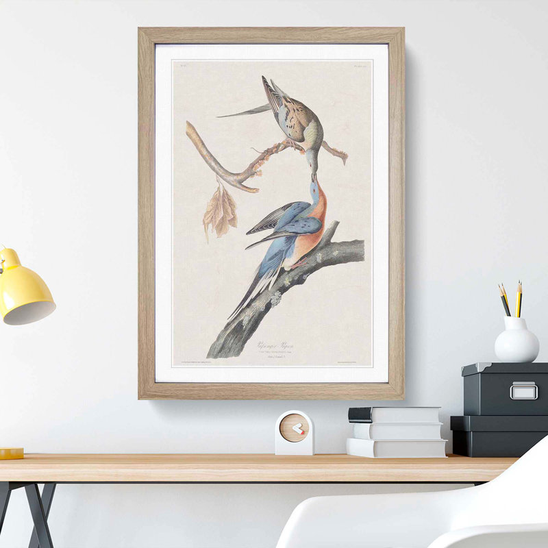 Passenger Pigeons by John Audubon - Framed Print, 65cm H x 48cm W x 2cm D, Oak Framed