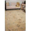 Moroccan Southwestern Area Rug in Sand-1022098248