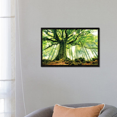 Ponthus' Beech 1 Piece Wall Art