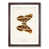 Walnut Framed