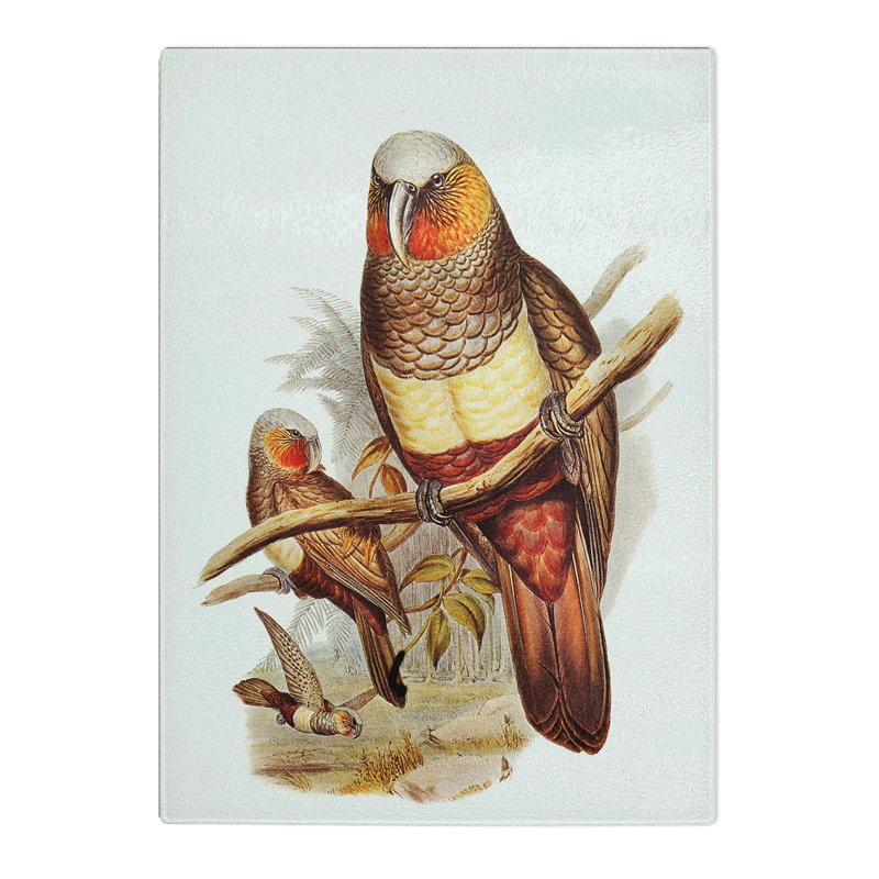 Tempered Glass Prince of Essling's Parrot by Elizabeth Gould Chopping Board, 28.5 cm x 39 cm