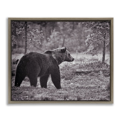 «Bear Stepping in Forest», art mural sur toile flottante noire par Jasper Huish