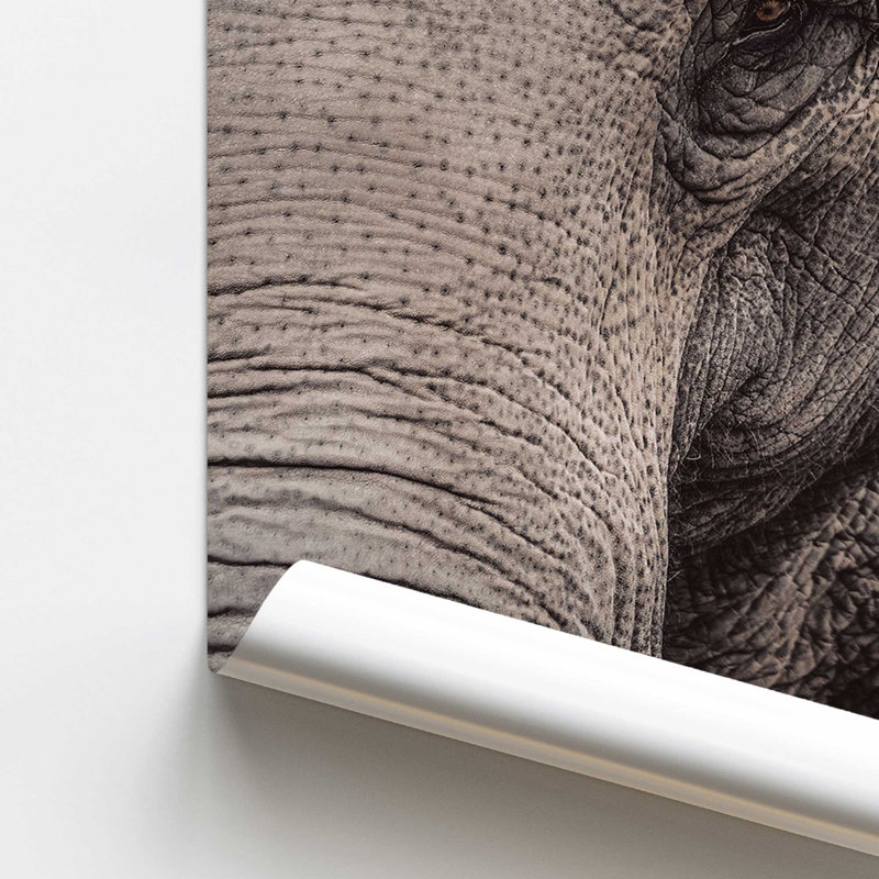 «Wise Gaze Print», dans un cadre,, H 24 po x l 18 po x P 0,1 po, Papier