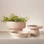 Encircle Tazza-60070824-64114110