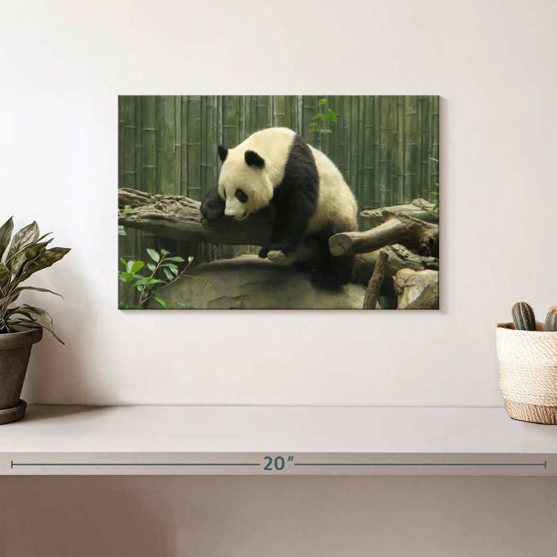 Panda Brampt sur un tronc