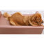 Dog Sofa-323632159
