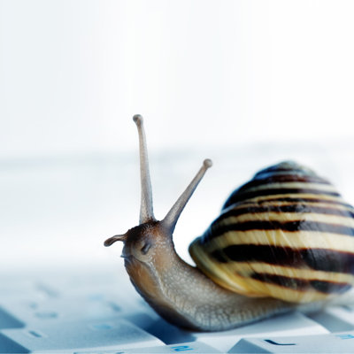 Snail On A Laptop by Mikdam - Wrapped Canvas Print