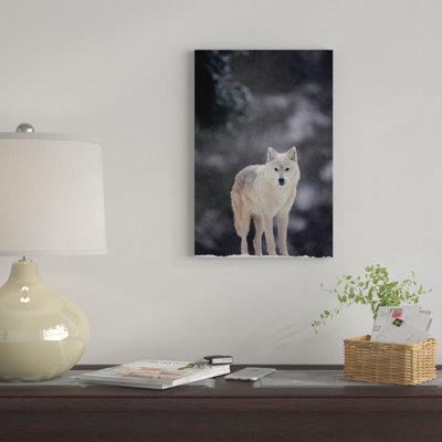 " Timber Wolf Female " by Gerry Ellis